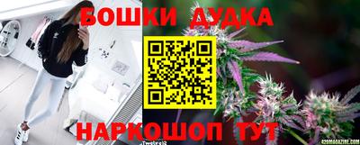 mdpv Будённовск