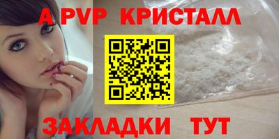 стаф Ставрополь